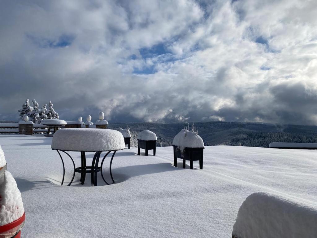 Berghotel Stutenhaus Schmiedefeld am Rennsteig Esterno foto